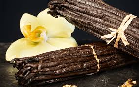 Madagascar Vanilla (BBW)