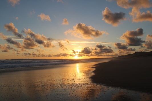 Evening Stroll on the Beach (Dupe of Bonfire Beach from Scentsy)